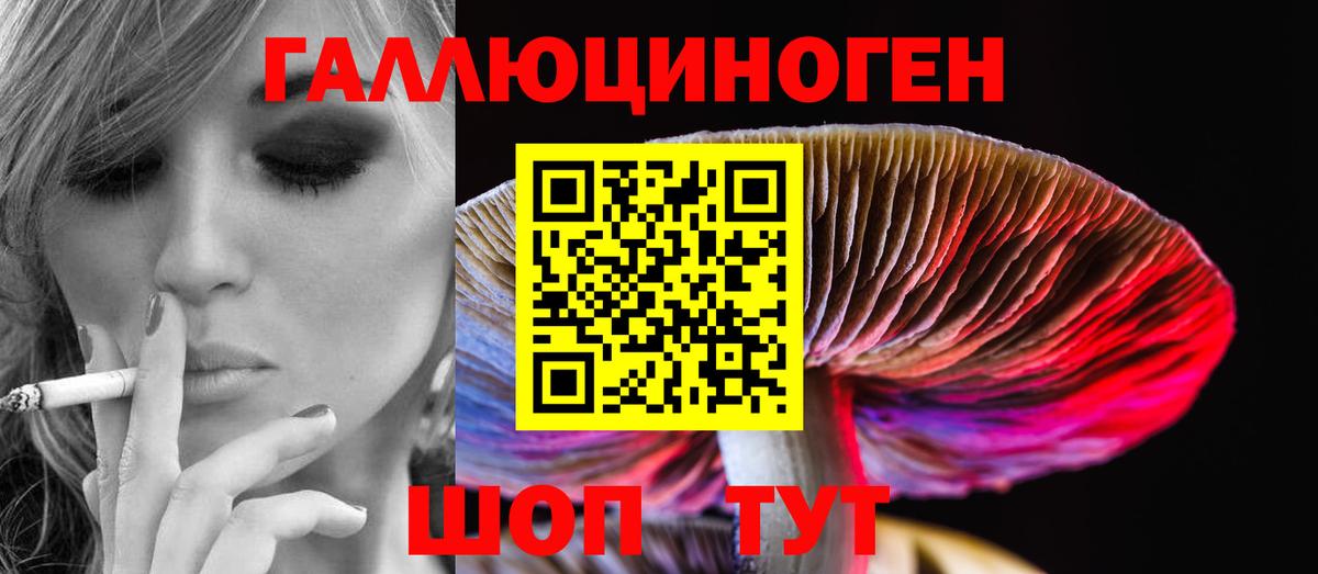 Псилоцибиновые грибы мухоморы  Вход с VPN  Курган 